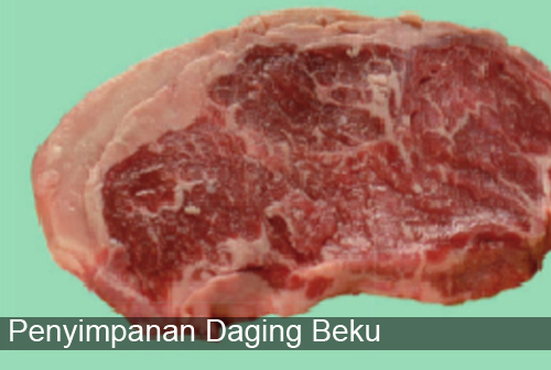 Penyimpanan Daging Beku