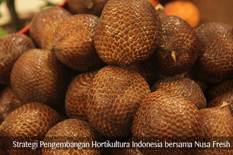 Strategi Pengembangan Hortikultura Indonesia bersama Nusa Fresh