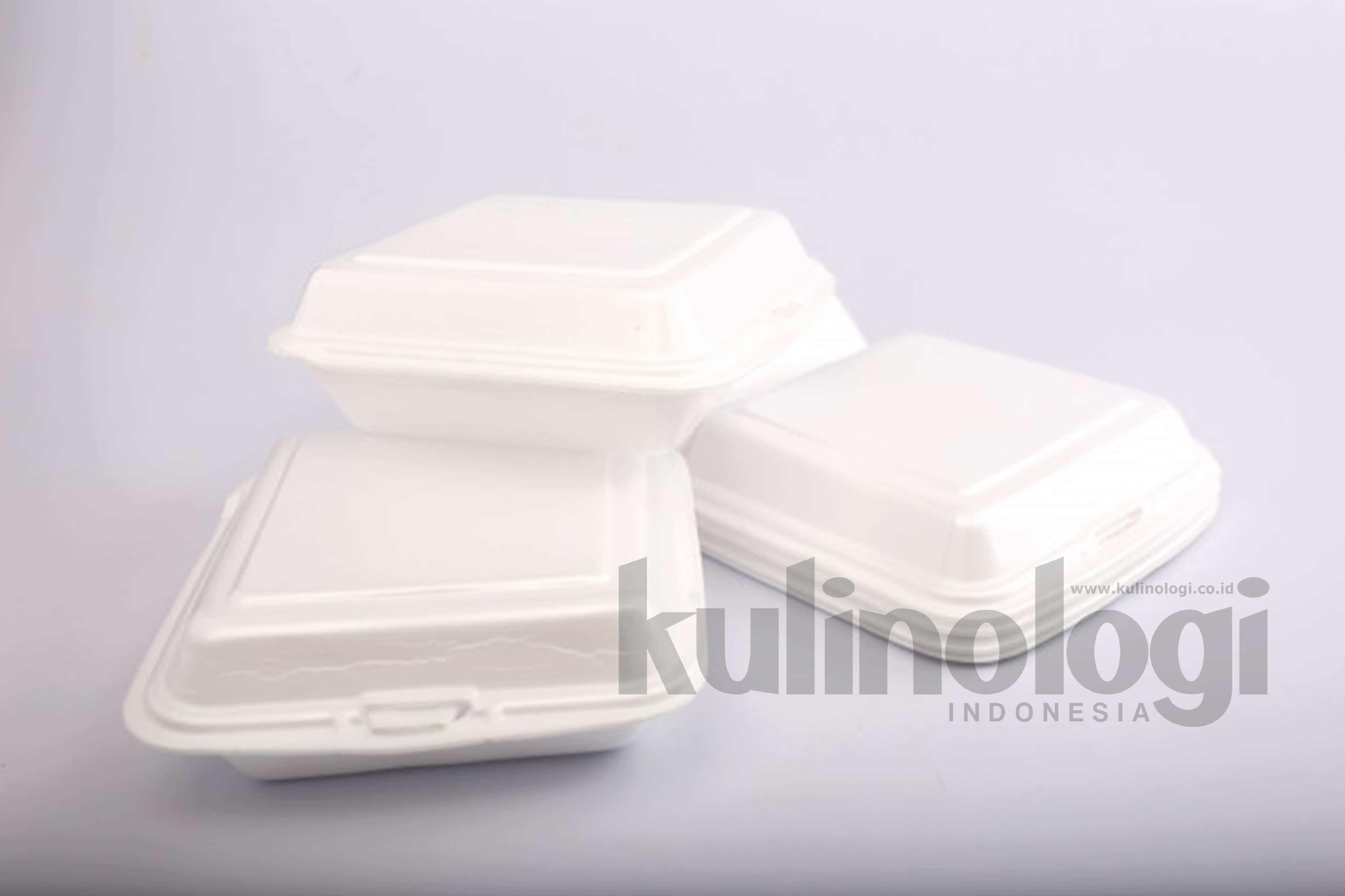 Bijak Menggunakan Kemasan dari Styrofoam